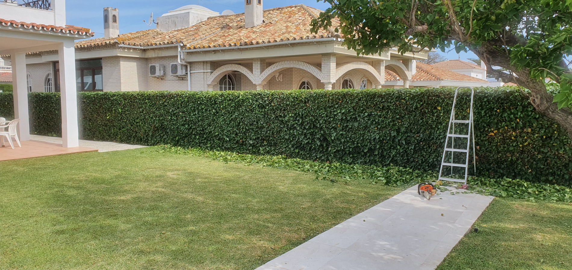 proyecto12